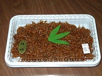 ごりの佃煮