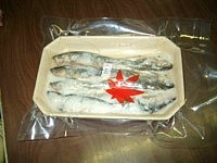 め寿司
