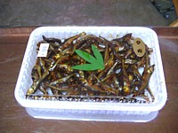 鮎の佃煮